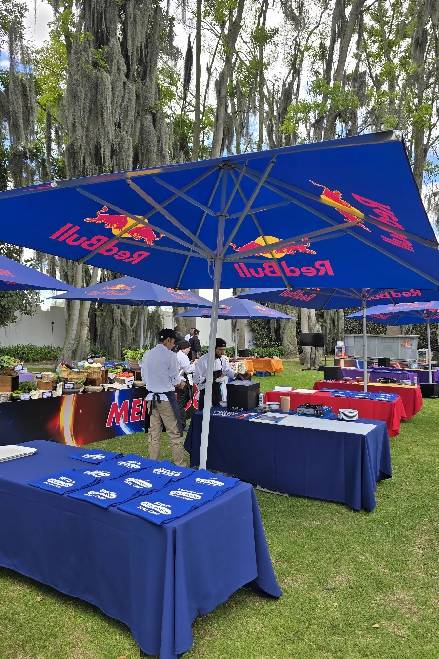 Carpas de Red Bull